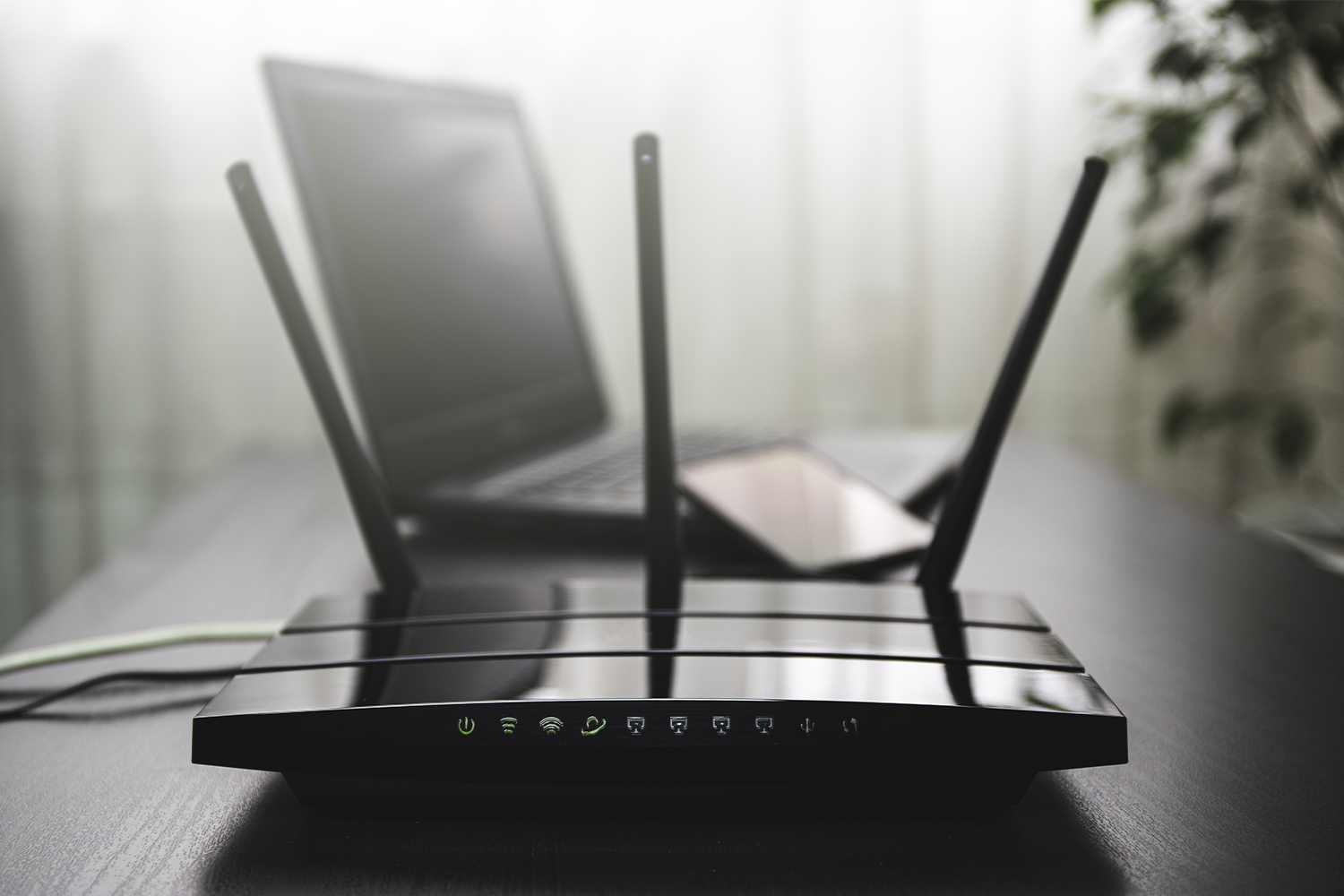 What Qualities to Look for In the Best Router for You – Gryphon
